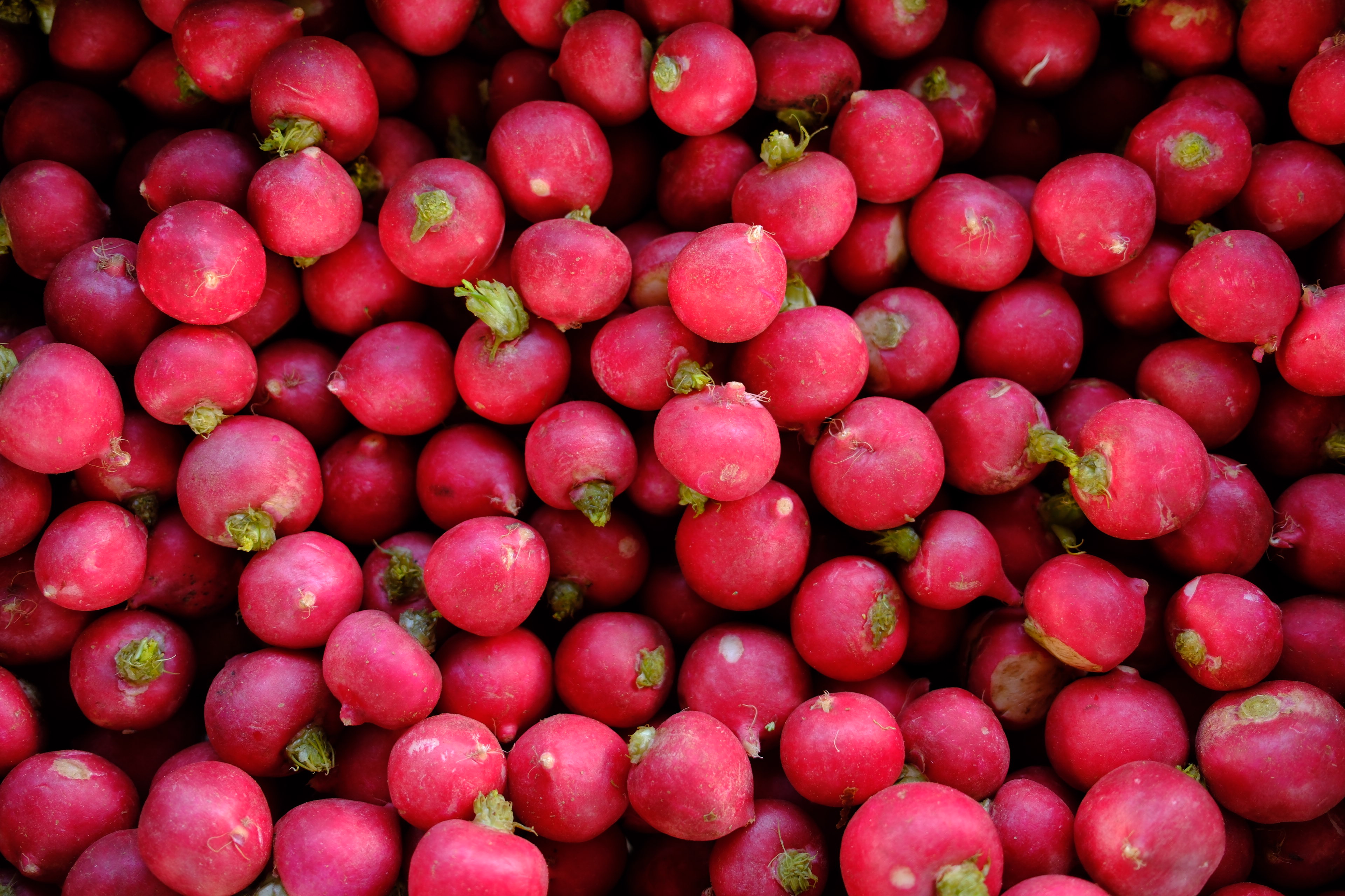 bears. beets. battlestar galactica.