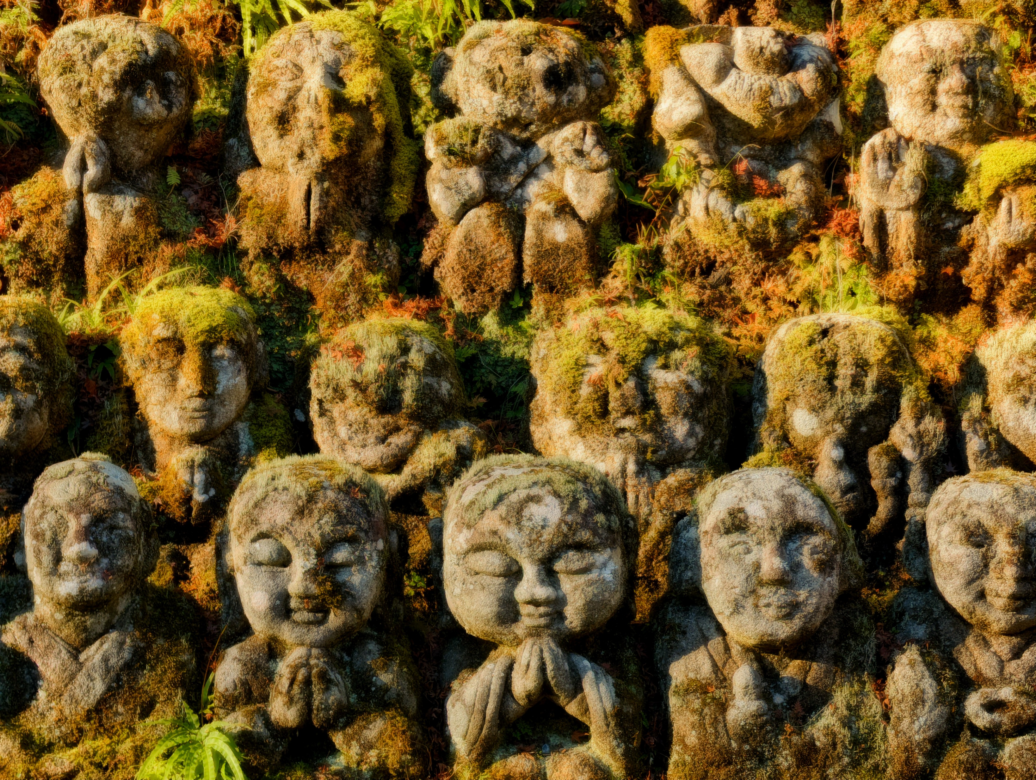 Mossy Monks